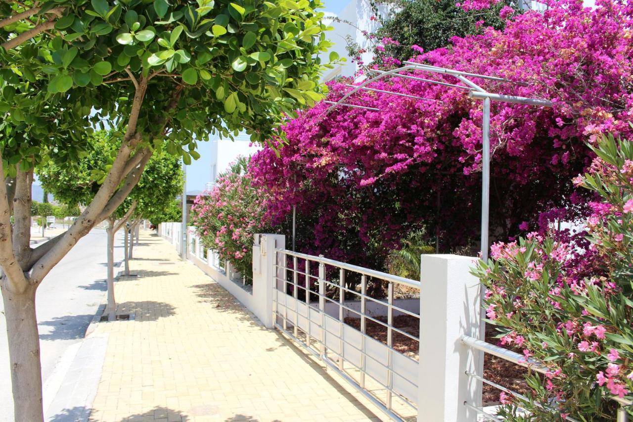 Caesar Beach Villas And Apartments Gastria Exterior foto