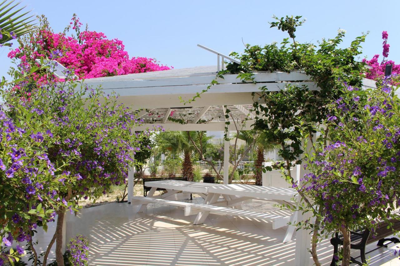 Caesar Beach Villas And Apartments Gastria Exterior foto